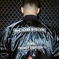 Picture for song 'Scorpion' by artist 'Yacht Club'