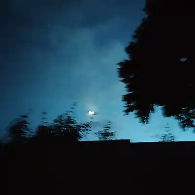 Picture for song '20240612_154843_Tanzt_TahiraSay_FS' by artist '786 scheint-Al'lahs Bande'