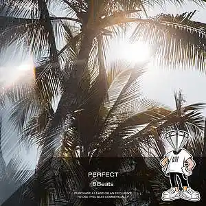 Picture for song 'Perfect' by artist '8rilliant'