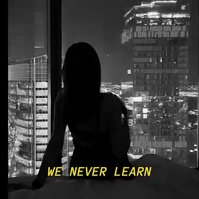 Picture for song 'WE NEVER LEARN - RnB Type Beat' by artist 'buzzy beats'