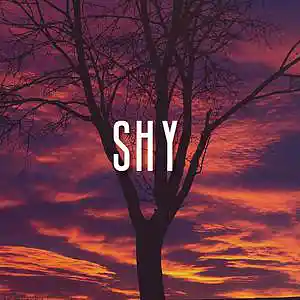 Picture for song 'SHY' by artist 'HIWYER'