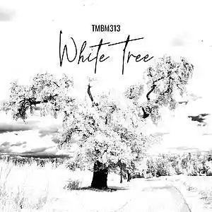 Picture for song 'White Tree' by artist 'TMBM313'