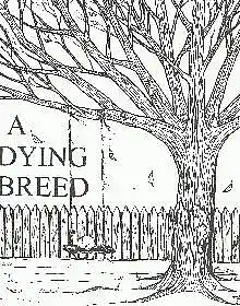 cover pic