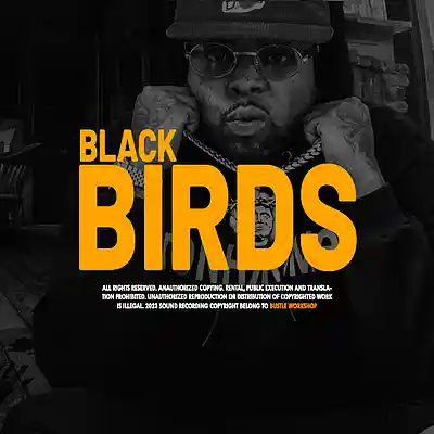 Picture for song 'BLACK BIRDS (BUY 1 GET 2 FREE)' by artist 'BUSTLE WORKSHOP'