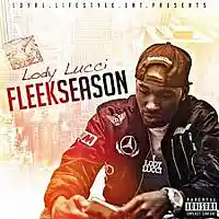 Picture for song 'fleekseason' by artist 'DIZZLEMAN T'