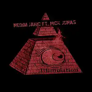 Picture for song 'Illumination (DEMO)' by artist 'Nedim Jahic'