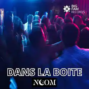Picture for song 'Dans la boite' by artist 'Noom'