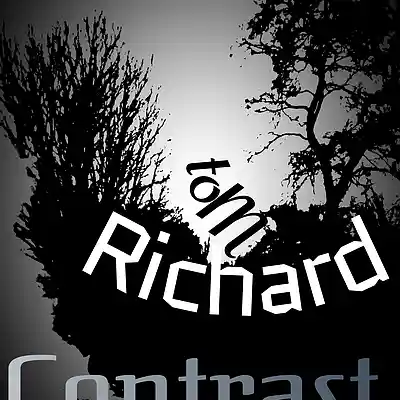 Picture for song 'Contrast' by artist 'toMRichard'