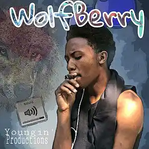 Picture for song 'WolfBerry Instrumental(Prod. Youngin' productions)' by artist 'Youngin' Productions'
