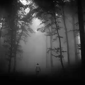 Picture for song '-DREAMISH- AMBIENT TRAP BEAT' by artist 'PROD. TommyontheTrack'