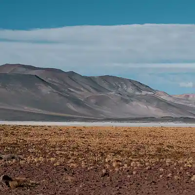 Picture for song 'Hiphop Pop Guitar Type Beat "In your mind"' by artist 'Away'