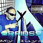 Picture for song 'My Guys' by artist 'BRAIDSS'