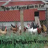 Picture for song 'THIS OLD FARMS GONE TO POT' by artist 'helendebakervorce'