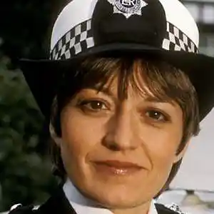 Picture for song 'Juliet Bravo Theme' by artist 'Previous Signs of Decay'