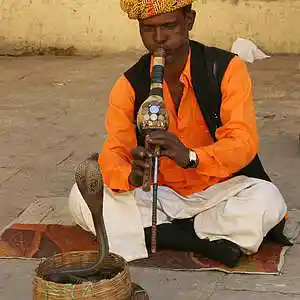 Picture for song '(FREE) Damn Son Flute Flute (Flute Trap Type Beat)' by artist 'Arsenial Beats'
