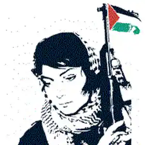 Picture for song '14-palestina' by artist 'axako'