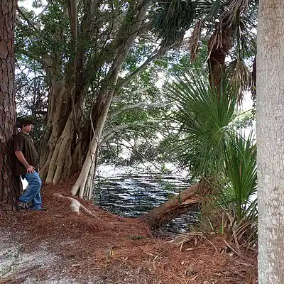 Picture for song 'Amidst Lake' by artist 'Caine Quience Piano'