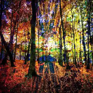 Picture for song 'Kindreds' by artist 'Jon Shuemaker'