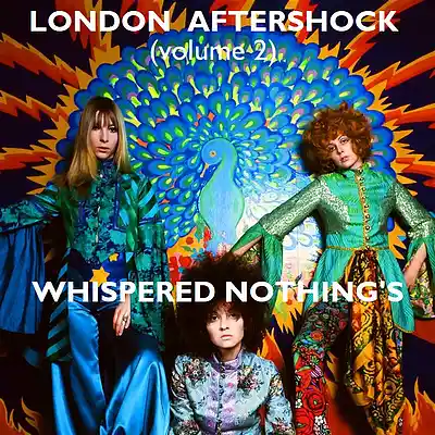 Picture for song 'Whispered Nothings' by artist 'Major Snagg'