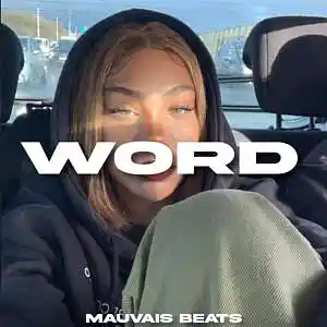 Picture for song 'WORD' by artist 'MAUVAIS BEATS'