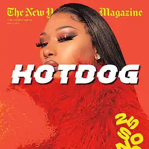 Picture for song 'HOTDOG' by artist 'pandamusic'