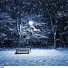 Picture for song 'WINTER NIGHT (SMO) |(FREE DL!)' by artist 'SMO PRODUCTION'
