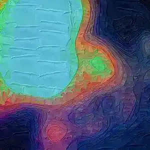 Picture for song 'Senses' by artist 'The End Transmission'