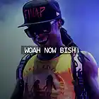 Picture for song '~ Woah Now Bish ~' by artist 'The Track Gods'