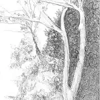 Picture for song 'I still remember you' by artist 'Walter de Jong'