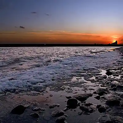 Picture for song 'Lakeshore At Night' by artist 'Willie Wardlaw'