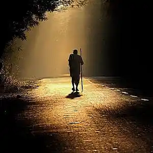 Picture for song 'Take the Solitary Way' by artist 'Adrian Rosenfeldt'