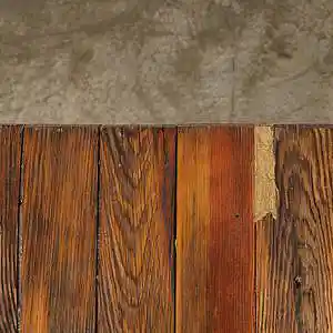 Picture for song 'Wabi Sabi Savvy' by artist 'Chris Baker'