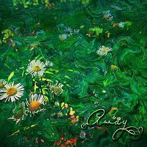 Picture for song 'Away' by artist 'Javiere Inniss'