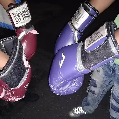 Picture for song 'Saebion' by artist 'Lil sae'