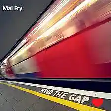 Picture for song 'Mind The Gap' by artist 'Mal Fry'