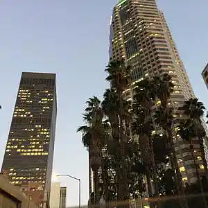 Picture for song 'Flower' by artist 'Mirrorfamily'