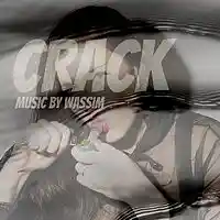 Picture for song 'Crack (Instrumental)2017 By Wassim' by artist 'Dark Hat'