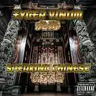 Picture for song 'Speaking Chinese (single)' by artist 'Tyger Vinum'