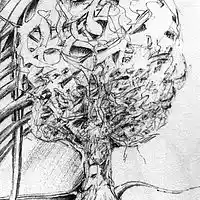 Picture for song 'My kite' by artist 'Walter de Jong'