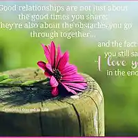 Picture for song '**NEW** Through Thick & Thin' by artist 'JJDR Productions'