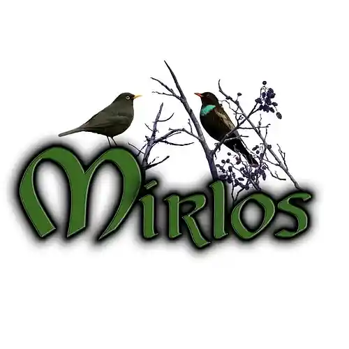Picture for song 'Vals del Crisantemo' by artist 'Mirlos'