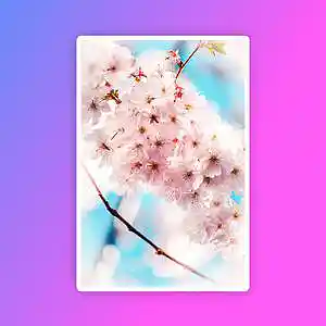 Picture for song 'New Day II' by artist 'Xmnondatrack'