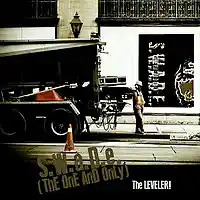 Picture for song 'THE LEVELER!' by artist 'S.W.A.D.E. (THE ONE AND ONLY)'