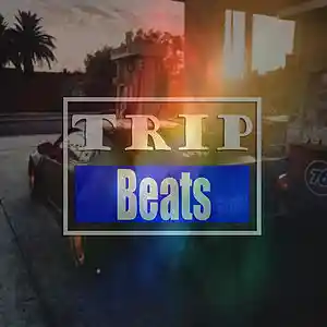 Picture for song 'Swell "FREE DL"' by artist 'Trip Music'