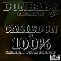 Picture for song 'CalieDon-100%' by artist 'calie don'