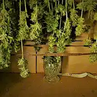 Picture for song 'Beats Per Minute x Crooked South Records' by artist 'Crooked South Records'