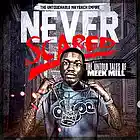 Picture for song 'Never Scared' by artist 'Dlux Beatz The Hitman'