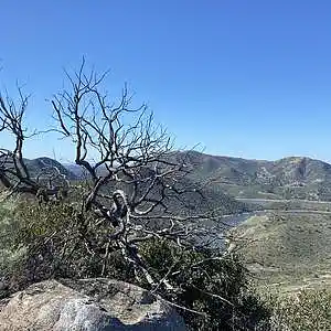 Picture for song 'Chamango' by artist 'Gagmesharkoff'