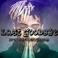 Picture for song 'Last Goodbye(XXXtentacion Type Beat) Free DL ' by artist 'InfPhenom'