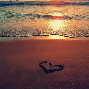 Picture for song 'Summer Love' by artist 'WisperBeats'